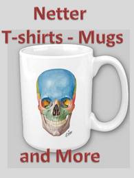 Netter For Shirts, Bags